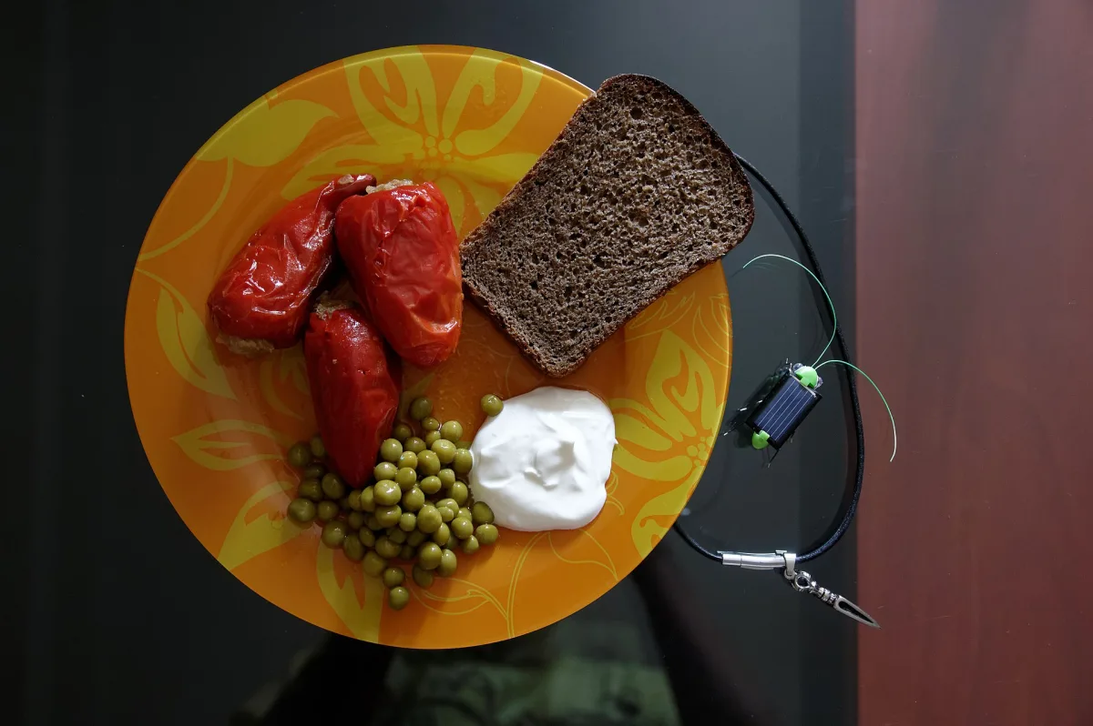 Ardei umpluți cu carne și orez