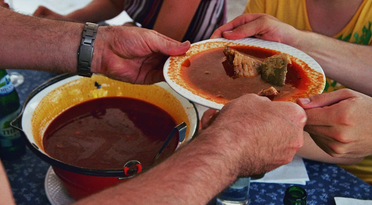 Halászlé — supă maghiară de pește