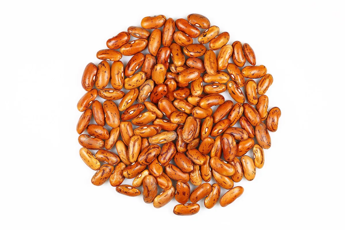 Rajma — fasole roșie indiană
