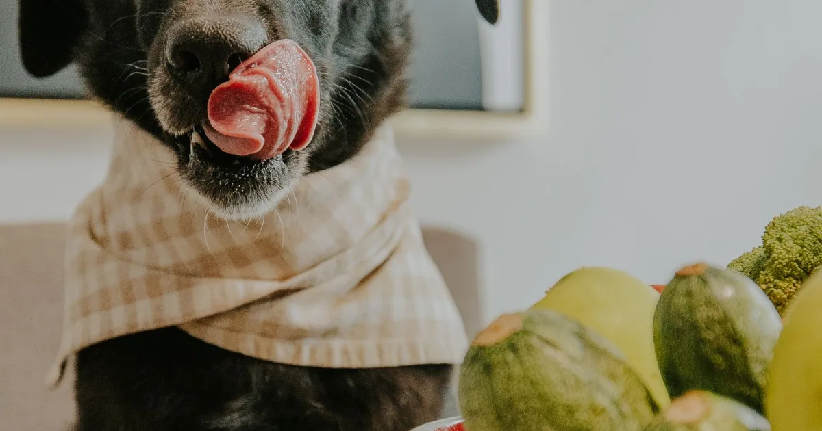 Câine care se uită la un bol cu mâncare pe masă